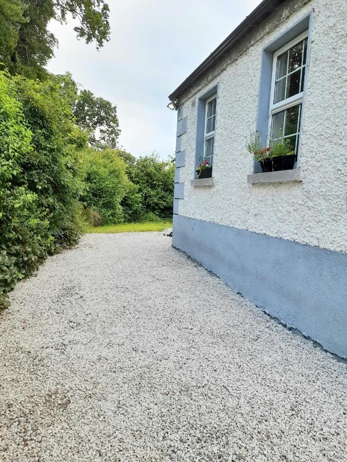 Gormanstown House Apt, The Island タラモア エクステリア 写真