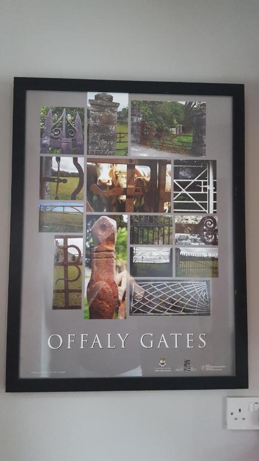 Gormanstown House Apt, The Island タラモア エクステリア 写真