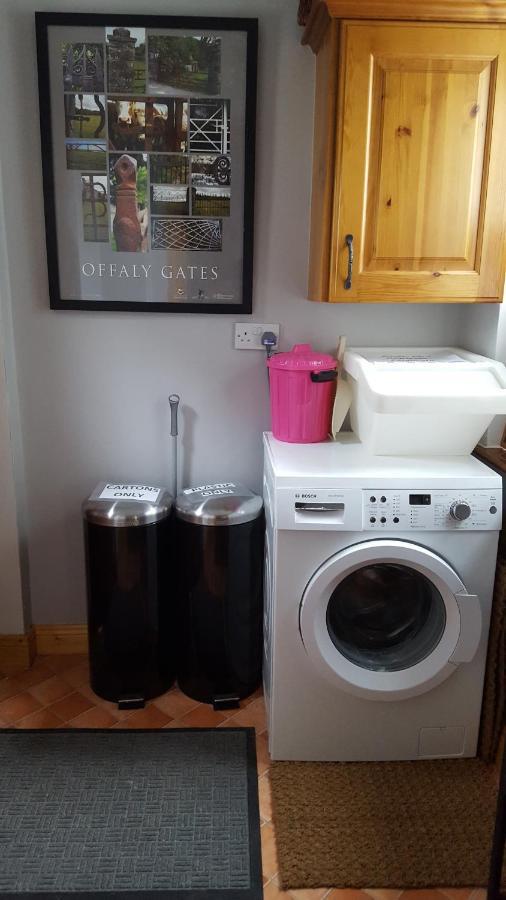 Gormanstown House Apt, The Island タラモア エクステリア 写真