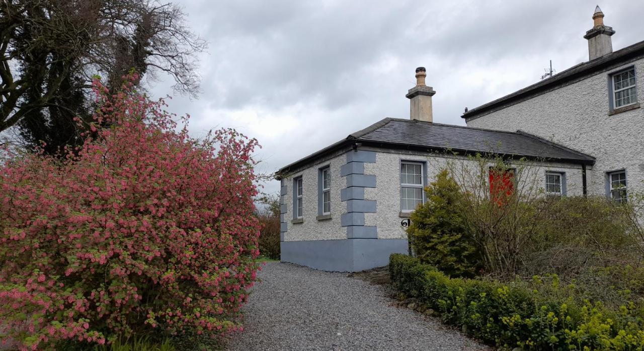 Gormanstown House Apt, The Island タラモア エクステリア 写真