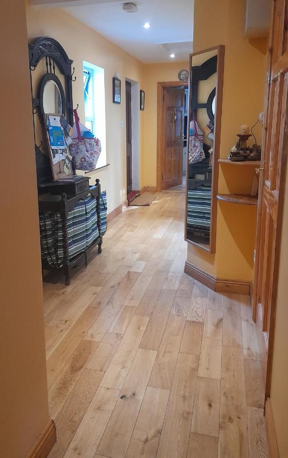 Gormanstown House Apt, The Island タラモア エクステリア 写真