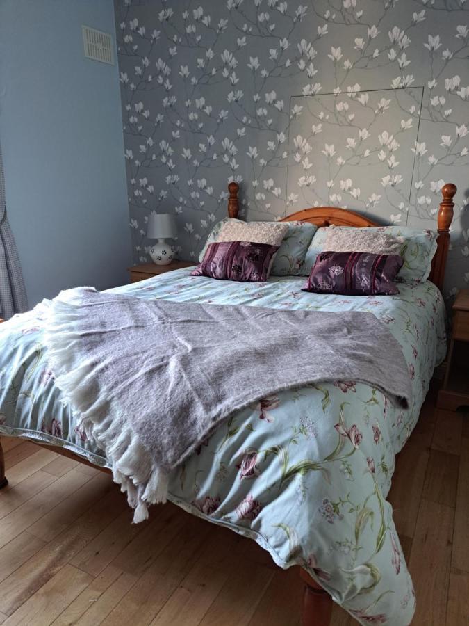 Gormanstown House Apt, The Island タラモア エクステリア 写真