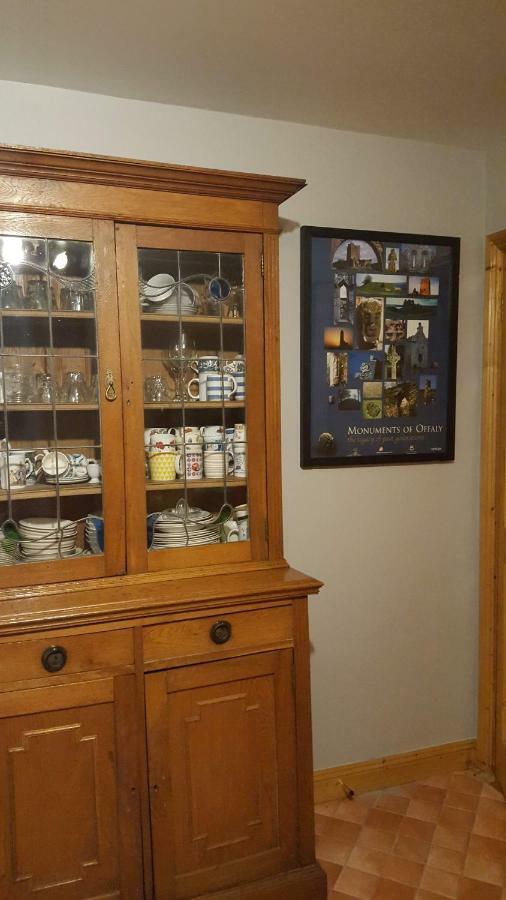 Gormanstown House Apt, The Island タラモア エクステリア 写真
