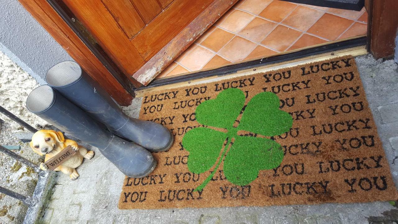 Gormanstown House Apt, The Island タラモア エクステリア 写真