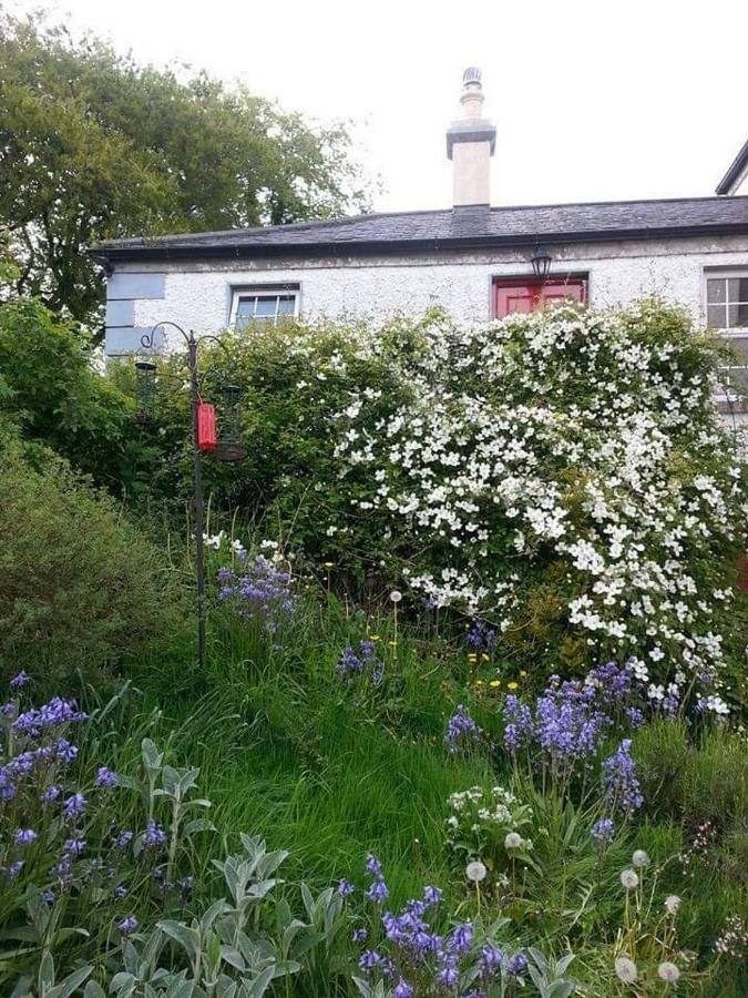 Gormanstown House Apt, The Island タラモア エクステリア 写真